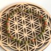 Agate mousse | Les indispensables – Image 8
